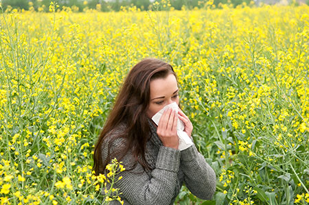 Five natural remedies against hay fever